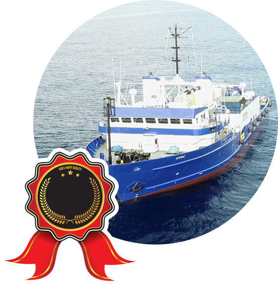 MissEmmaMcCall-Img-05